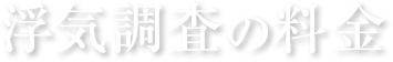 浮気調査の料金